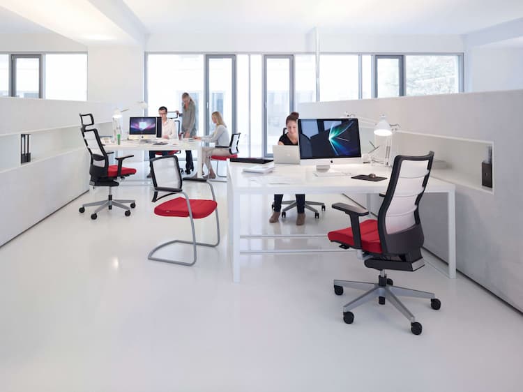 Your Office: A Living, Breathing Space